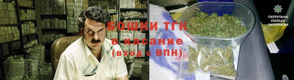 крисы Нея