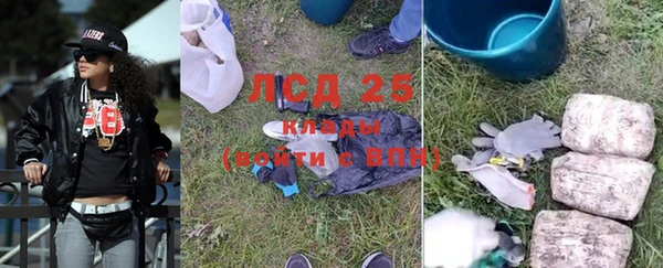 крисы Нея
