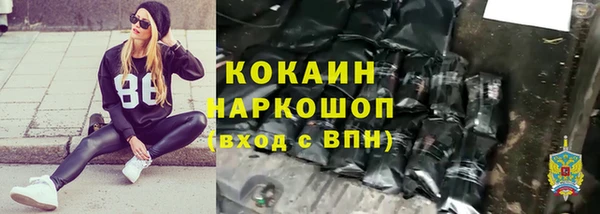 крисы Нея