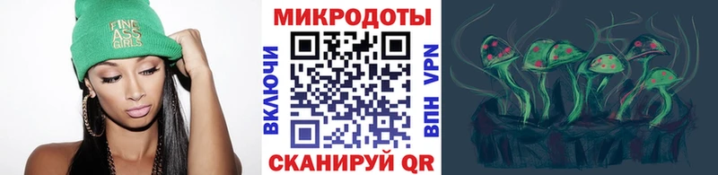 Псилоцибиновые грибы Psilocybe  Североморск 