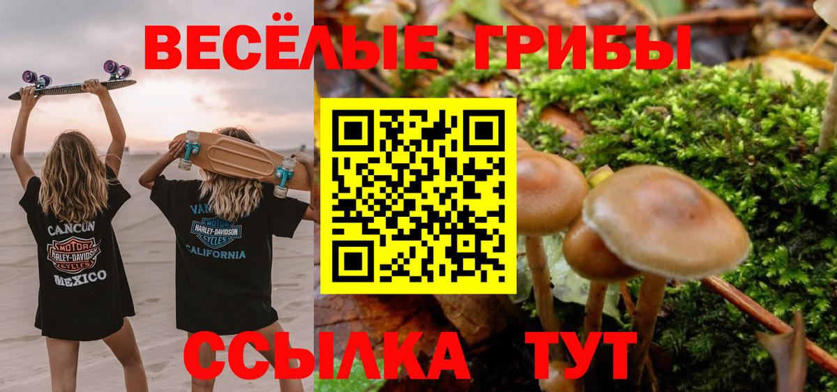 Галлюциногенные грибы мицелий  Псилоцибиновые грибы мухоморы  Вход с VPN  Североморск 